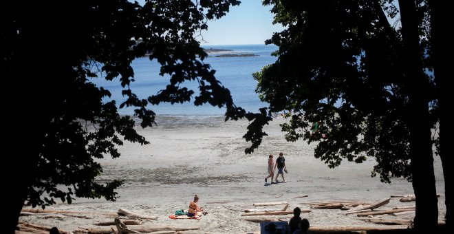 Millones de mejillones y almejas aparecen muertos por la extrema ola de calor en Canadá