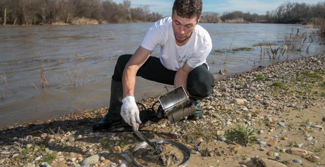 La 'contaminación invisible' acecha: un cóctel de 119 sustancias tóxicas