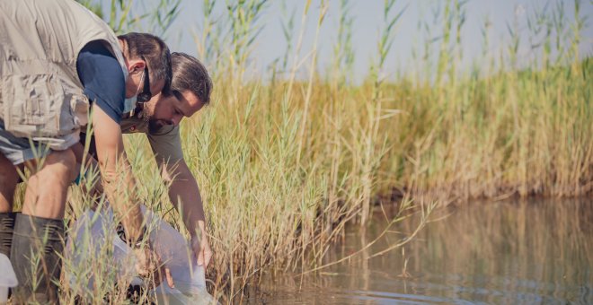 Les zones humides de Catalunya, un pulmó natural amenaçat per la construcció