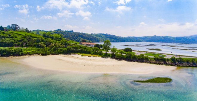 Tres playas cántabras, entre las mejores para pasear con nuestros perros