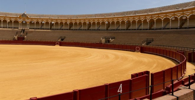 Más de 40 entidades de bienestar animal en Cantabria piden apartar a los menores de la tauromaquia