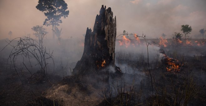 La humanidad ya ha agotado los recursos naturales disponibles para todo el año