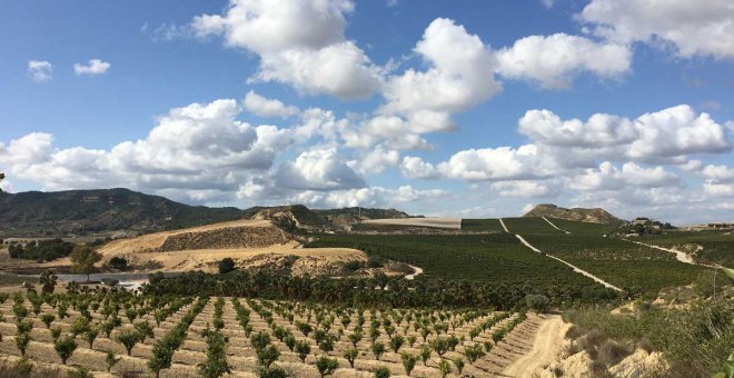 Los desafíos invisibles de una agricultura verde en Europa