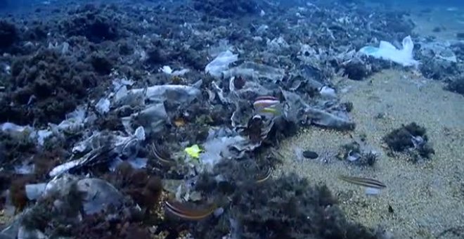 Un sencillo gesto para salvar el mar