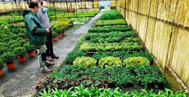 El Ayuntamiento instala frente al Concha Espina un jardín vertical con 1.149 plantas