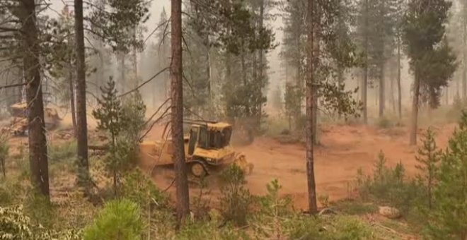 Medio mundo, afectado por graves incendios forestales