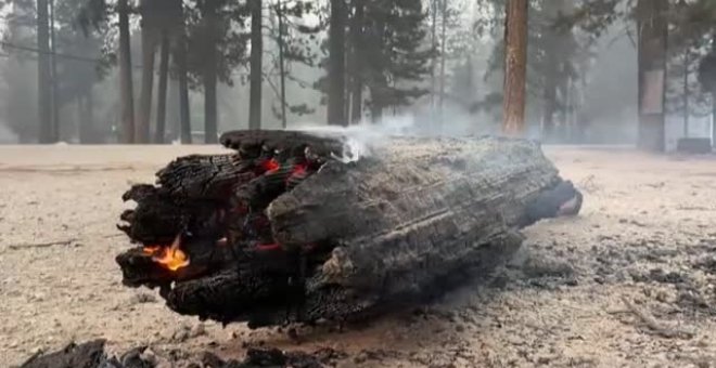 El incendio más devastador de los últimos años sigue activo