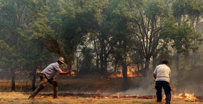 El incendio de Ávila sigue estable pero la Junta advierte de "pequeñas reproducciones"