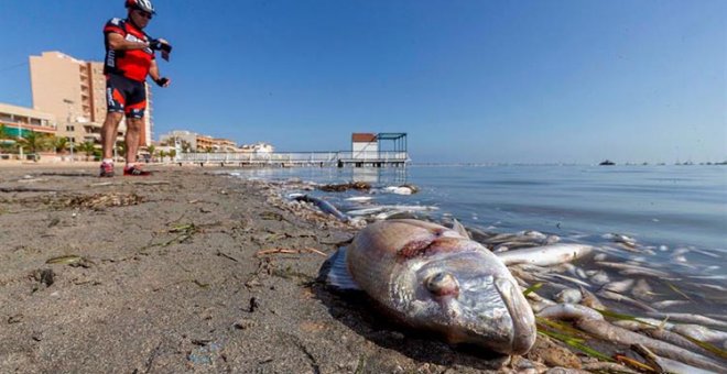 Debemos impulsar la ILP del Mar Menor