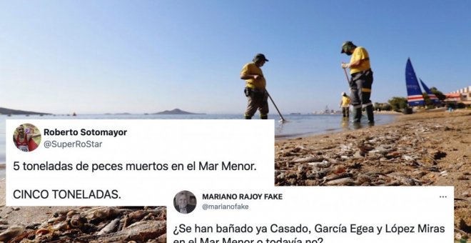 Indignación en redes por el desastre medioambiental en el Mar Menor