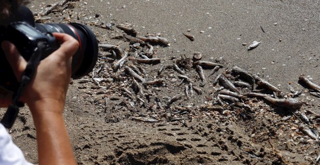 Los océanos se convierten en trampa mortal para los peces