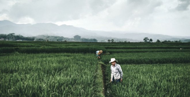 Lxs agricultorxs, no las corporaciones, transformarán el sistema alimentario