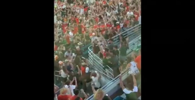 Salvan a un gato en un estadio de Florida utilizando una bandera para amortiguar la caída