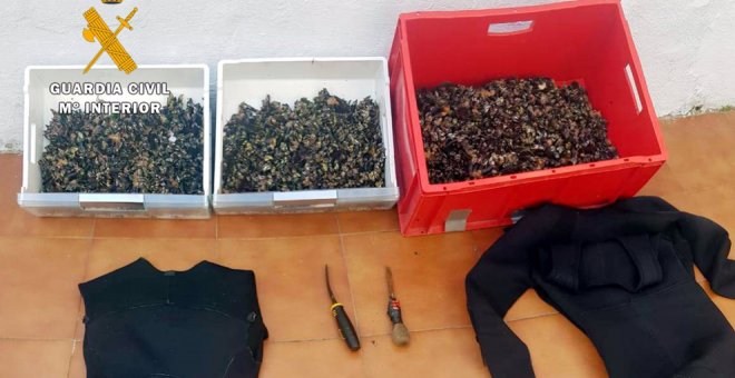 Sorprendidos dos conocidos furtivos con 14 kilos de percebes cuando pescaban en Sonabia