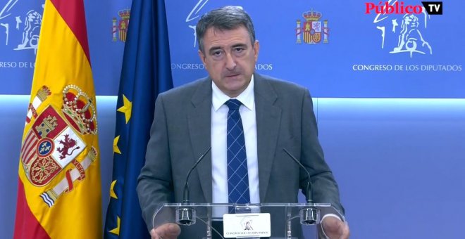 Aitor Esteban pide que la UE actúe en el mercado del gas para bajar el precio de la luz