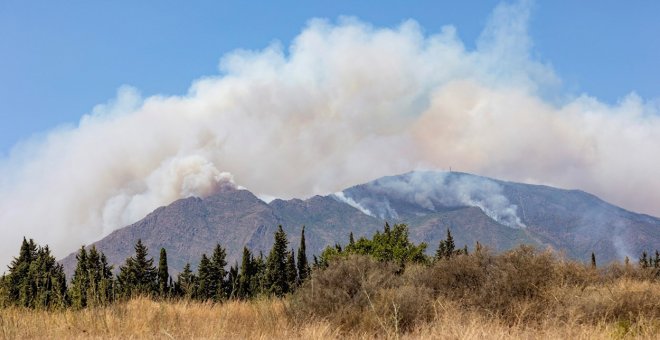 La Fiscalía cree que el incendio de Sierra Bermeja fue intencionado