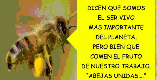 Abejas Unidas