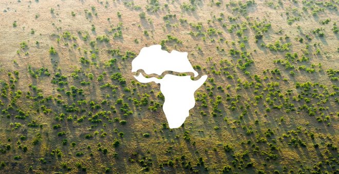 Verde que te quiero verde: la gran muralla africana en respuesta al cambio climático