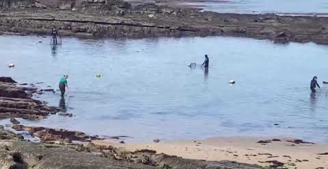 Recogida de algas en La Maruca para dar la bienvenida al otoño