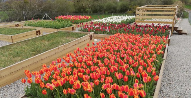 La 'Agrorreserva', premiada por la FEMP