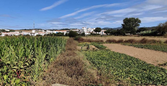 El éxodo de las mujeres rurales pone en jaque la supervivencia de la España vaciada