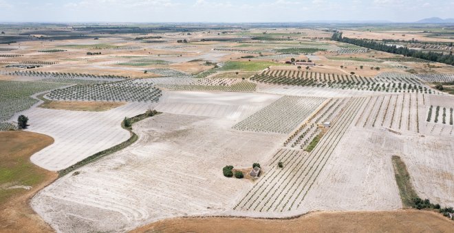 'El robo del agua': 51.000 hectáreas de cultivo se riegan con pozos ilegales del acuífero que nutre las Tablas de Daimiel