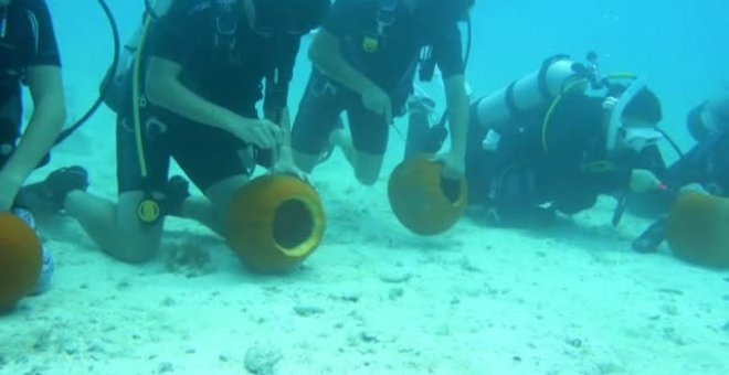 Un grupo de buzos en Florida celebra Halloween bajo el agua