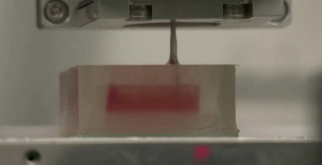 La carne más cara del mundo impresa en 3D