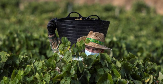 El fin de las campañas agrícolas lastra a Castilla-La Mancha, pero cierra octubre con su mayor bajada de paro interanual