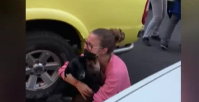 El emocionante encuentro de una familia de La Palma con sus perros perdidos