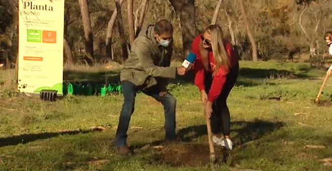 Reforestación solidaria en la Casa de Campo tras el temporal Filomena