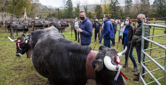 Unas 2.500 reses participan en la feria de Arenas de Iguña