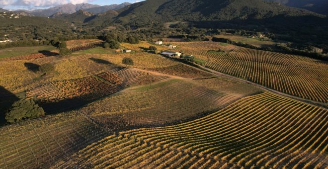 La ONU alerta de la alta contaminación por plásticos de los suelos de cultivo, mayor que la de los océanos