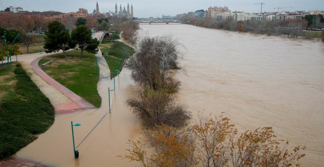 El Ebro anega 2.350 hectáreas de huerta y cultivo a su paso por Zaragoza