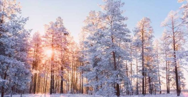 Poesía para este invierno incierto