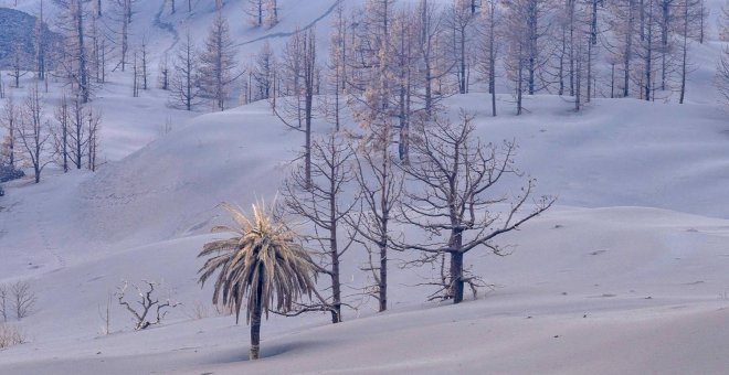 Los científicos avisan de que el fin de la erupción en La Palma no significa que no haya "algunos peligros"