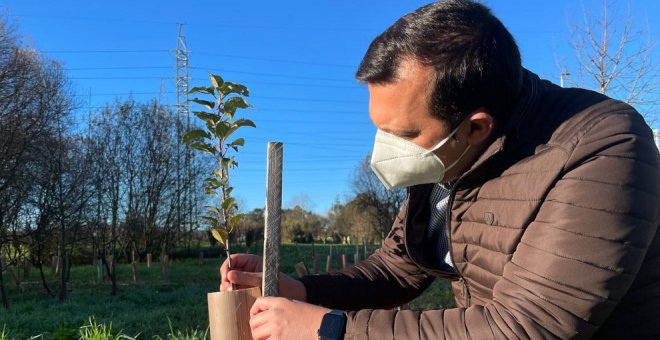 Los vecinos pueden pedir ejemplares de árboles autóctonos hasta el 9 de enero