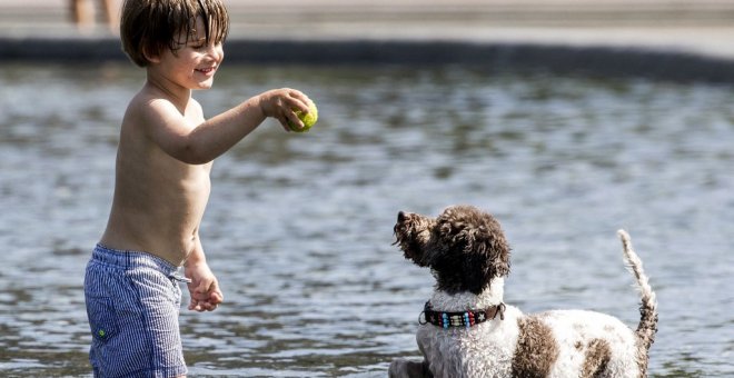 Los animales de compañía dejan por ley de ser cosas y pasan a ser miembros de la familia desde este miércoles