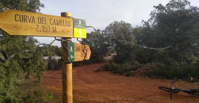 Alarma en Ciudad Real: localizan varias trampas para ciclistas en el parque forestal de la Atalaya