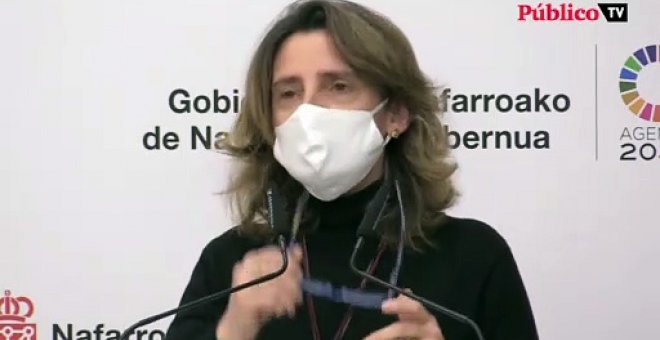 Teresa Ribera: "Estos días hemos estado oyendo intervenciones que generan más ansiedad y preocupación"