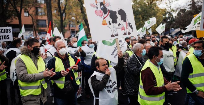 Agricultura modificará la regulación de los contratos del sector lácteo