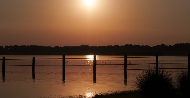 Ecologismo de emergencia - Desecación de las marismas de Doñana. Los estragos que el gobierno andaluz prepara para el privilegiado espacio