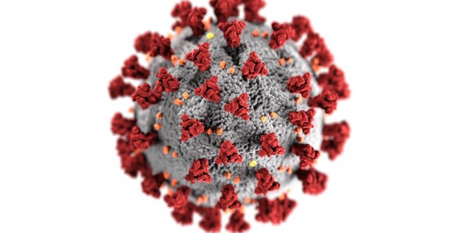 Descubren más de cien mil virus desconocidos mediante una nueva herramienta informática