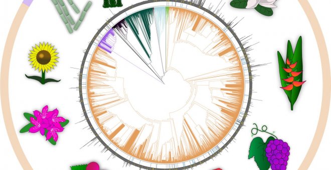 Principia Marsupia - Científicos de todo el mundo se unen para construir el libro de la vida