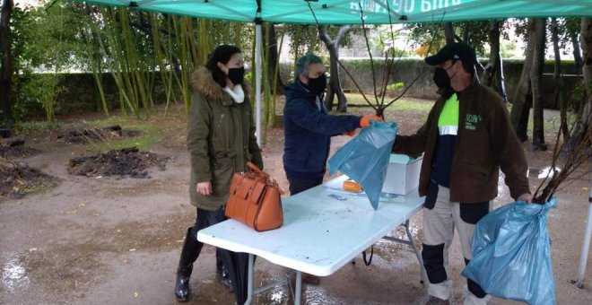 Abierto el plazo para solicitar ejemplares frutales para conmemorar el Día del Árbol