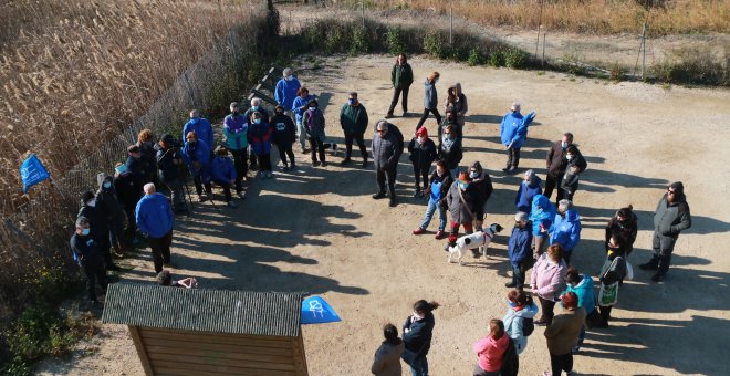 Les entitats ecologistes reclamen més restauracions ambientals a les zones humides del Delta de l'Ebre