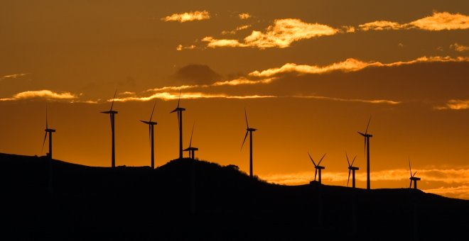 Cortocircuito ambiental en el desierto de Las Bardenas: los parques eólicos sitian una reserva de la biosfera