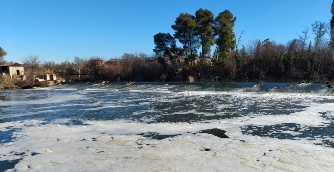 Salvar el río y sacarlo de su actual estado entre todos, objetivos de la nueva 'Cátedra del Tajo'