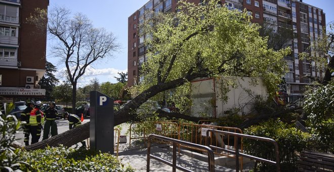 Nieve, lluvia y aire. Las imágenes que nos deja la borrasca 'Ciril'