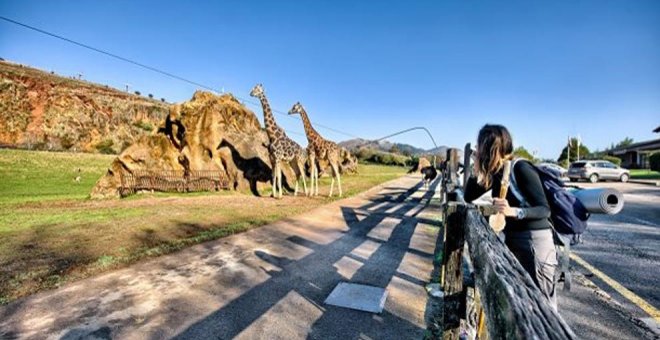 Piden reconvertir Cabárceno y La Magdalena en centros de conservación y rescate